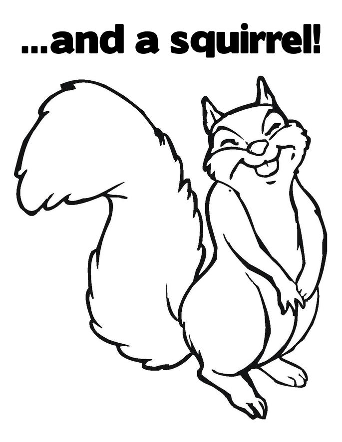 Dessin à colorier: Écureuil (Animaux) #6272 - Coloriages à Imprimer Gratuits
