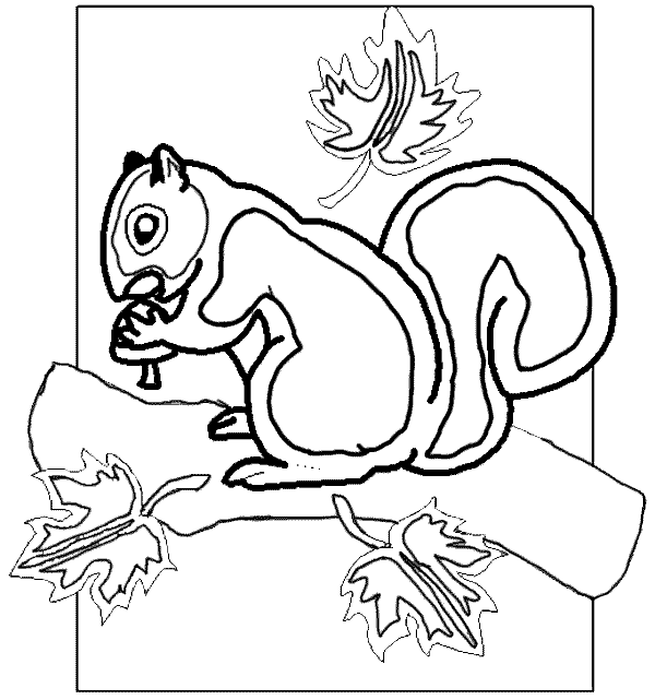 Dessin à colorier: Écureuil (Animaux) #6278 - Coloriages à Imprimer Gratuits
