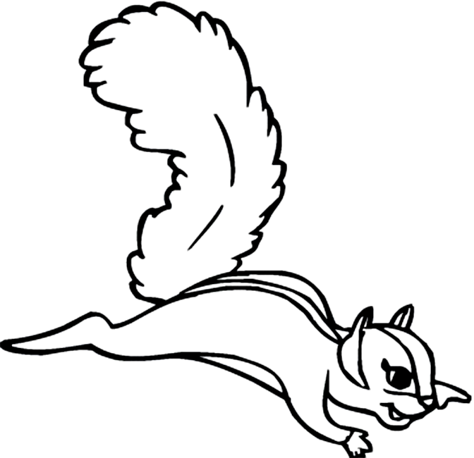 Dessin à colorier: Écureuil (Animaux) #6279 - Coloriages à Imprimer Gratuits
