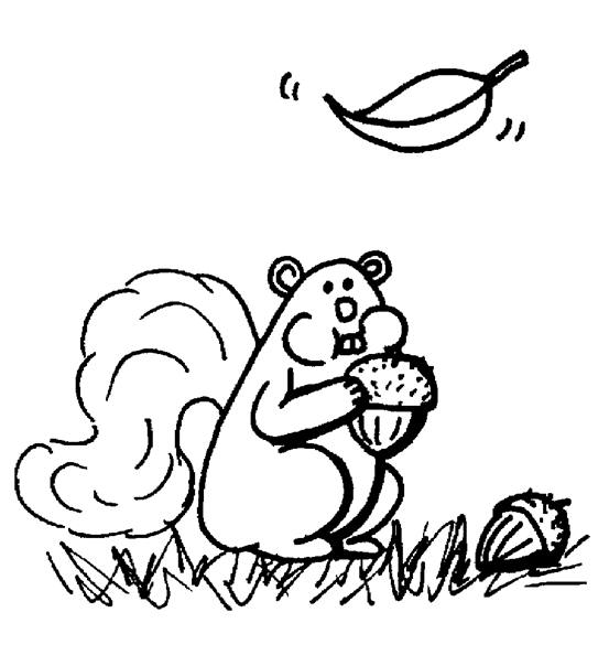 Dessin à colorier: Écureuil (Animaux) #6284 - Coloriages à Imprimer Gratuits