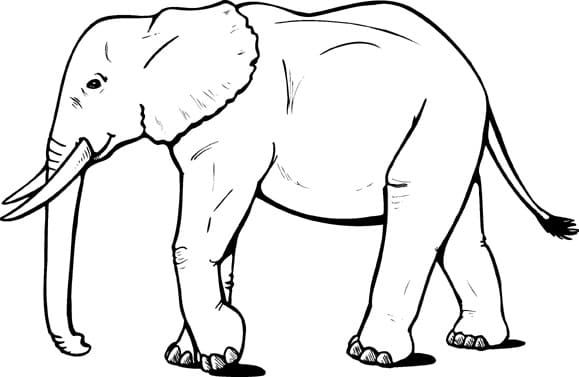 Coloriage gratuit Éléphant #175066 de la collection Animaux à imprimer