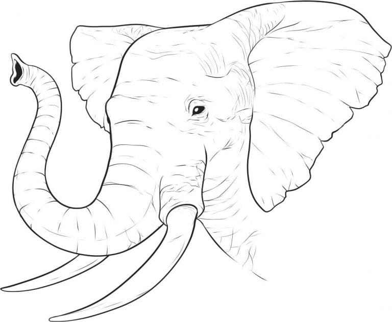 Coloriage imprimable Éléphant #175068 de la collection Animaux à colorier aux crayons