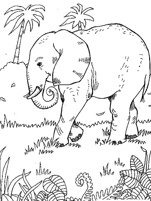 Joli coloriage Éléphant #175072 de la collection Animaux, prêt à imprimer pour petits et grands