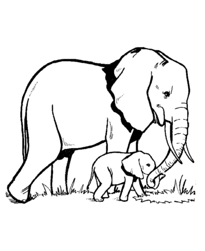 Dessin à colorier: Éléphant (Animaux) #6300 - Coloriages à Imprimer Gratuits