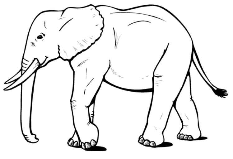 Dessin à colorier: Éléphant (Animaux) #6310 - Coloriages à Imprimer Gratuits