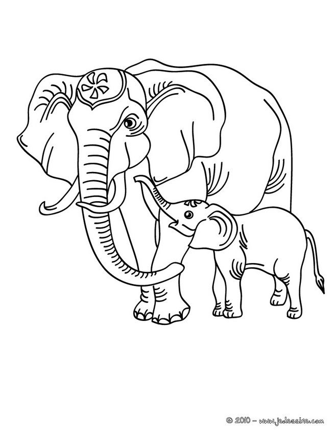 Dessin à colorier: Éléphant (Animaux) #6337 - Coloriages à Imprimer Gratuits