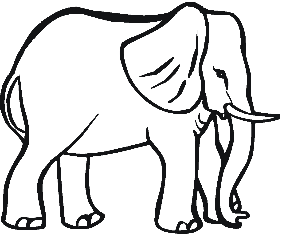 dessin elephant 6401 animaux a colorier coloriages imprimer coloriage voiture mustang