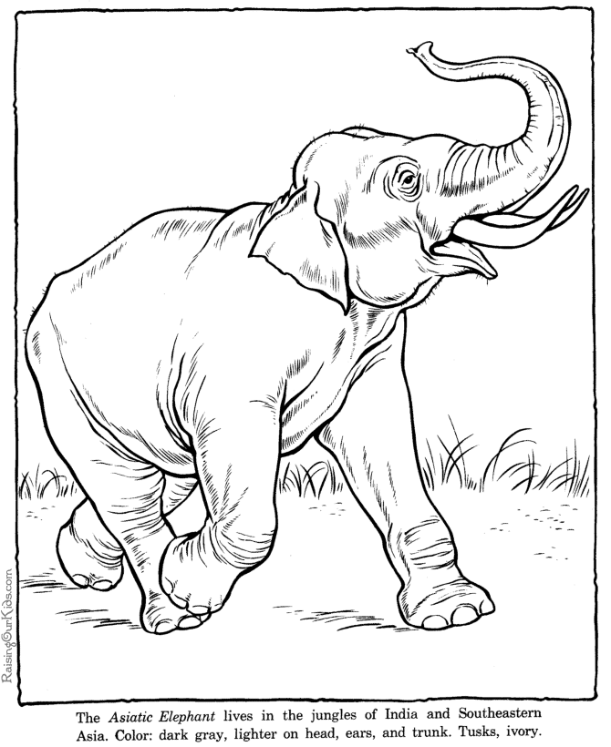 Dessin à colorier: Éléphant (Animaux) #6418 - Coloriages à Imprimer Gratuits