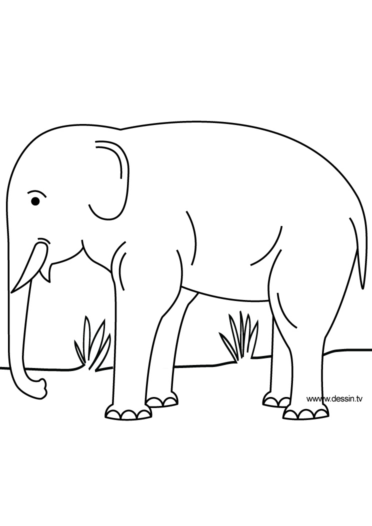 Dessin à colorier: Éléphant (Animaux) #6440 - Coloriages à Imprimer Gratuits