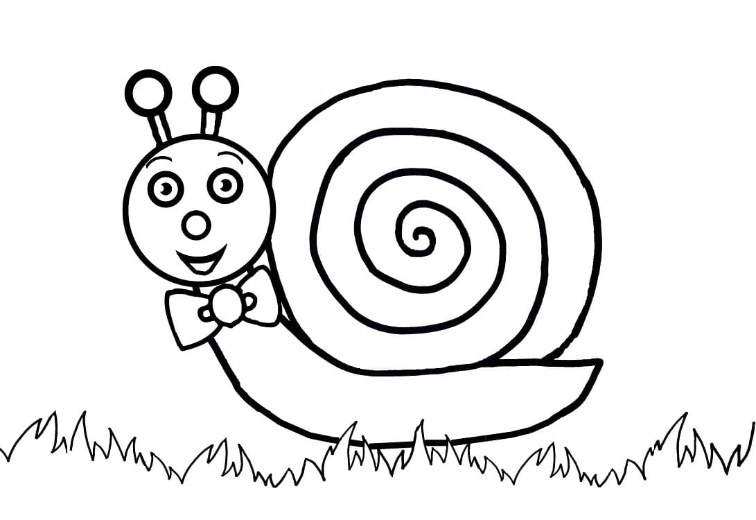 Coloriage à imprimer Escargot #177417 de la série Animaux, gratuit pour enfants et adultes