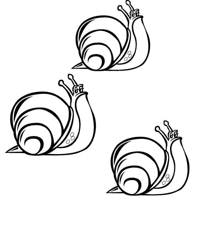 Page de coloriage Escargot #177429, collection Animaux, à imprimer et colorier