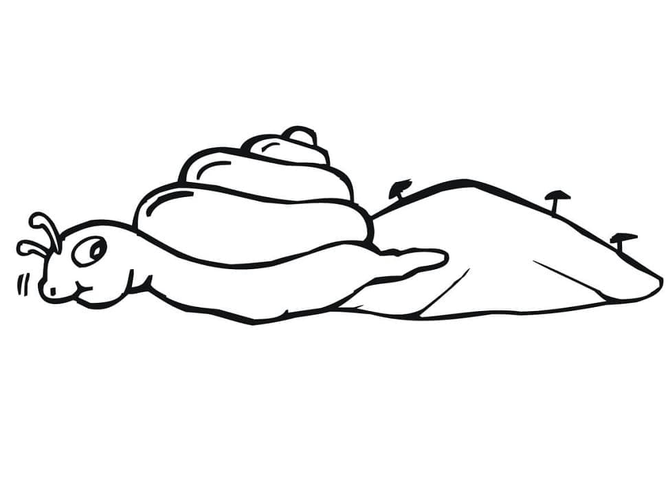 Coloriage à imprimer Escargot #217003 de la série Animaux, gratuit pour enfants et adultes