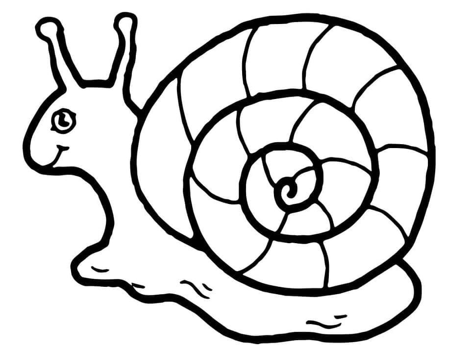Page de coloriage Escargot #217008, collection Animaux, à imprimer et colorier