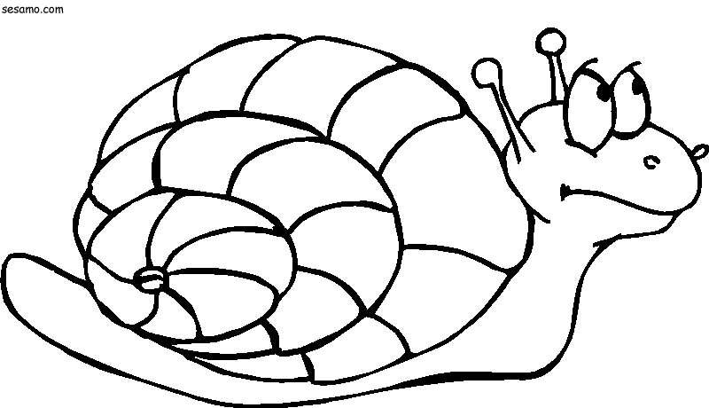Dessin à colorier: Escargot (Animaux) #6635 - Coloriages à Imprimer Gratuits