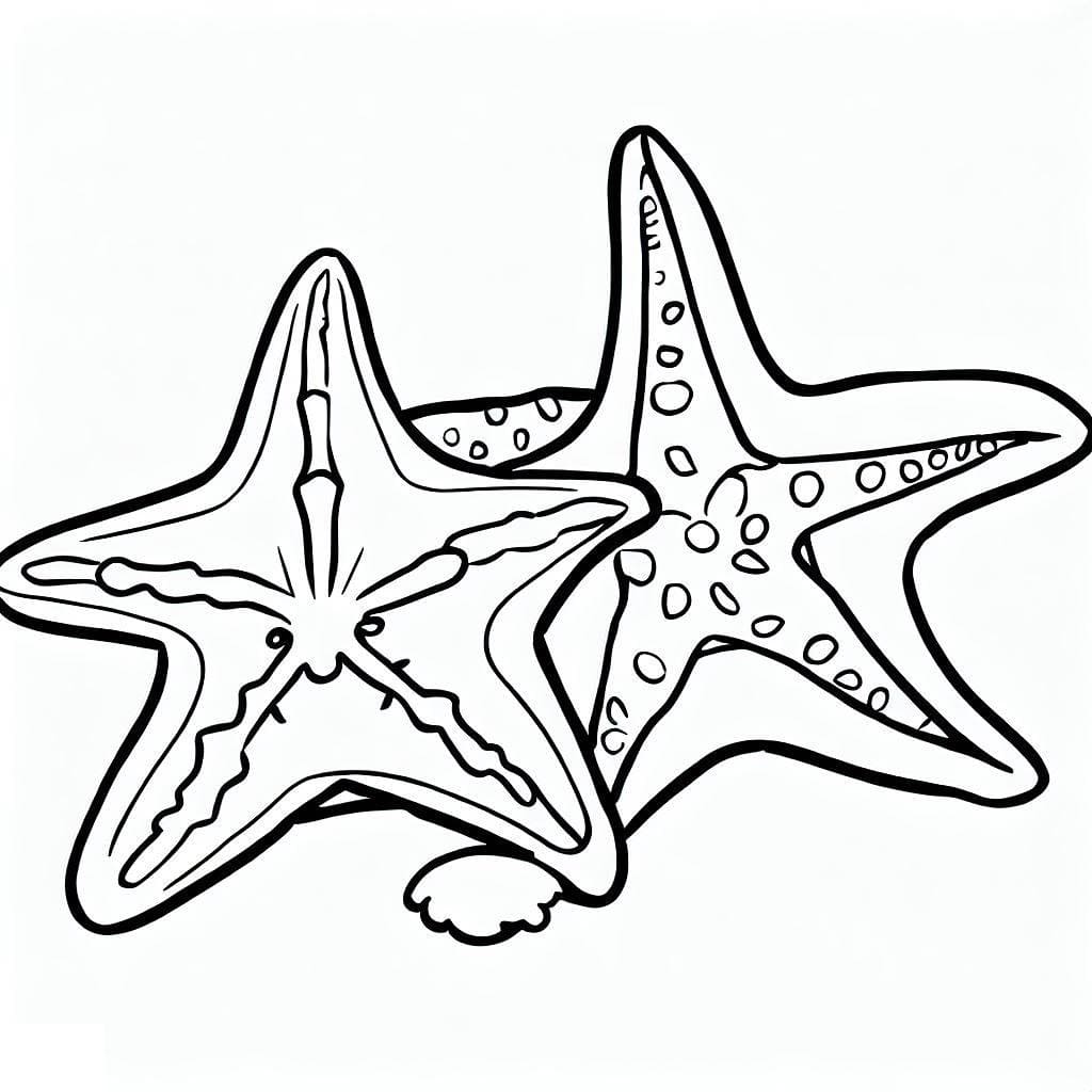 Coloriage gratuit Étoile de mer #187137 de la collection Animaux à imprimer