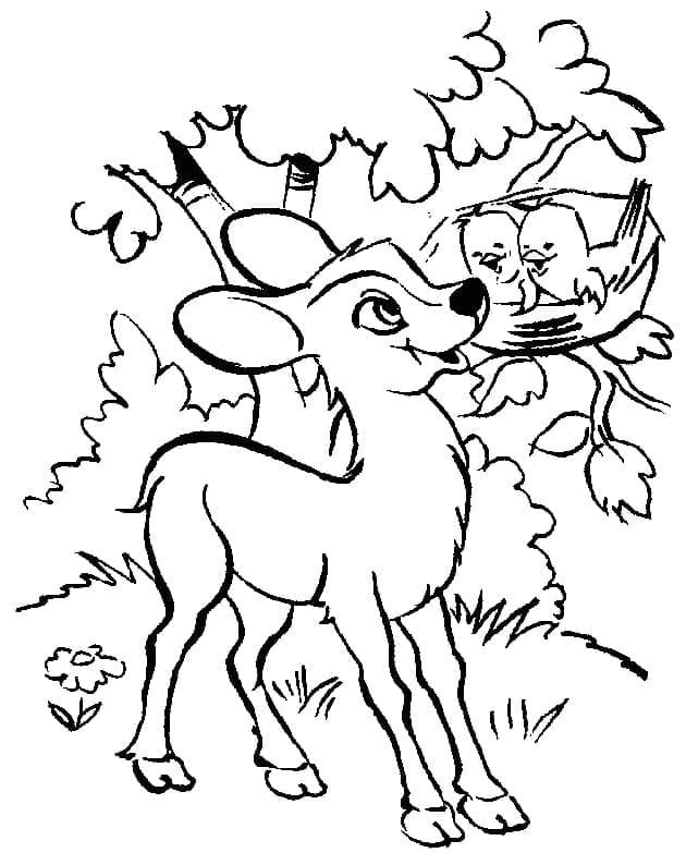 Coloriage gratuit Faon #206071 de la collection Animaux à imprimer