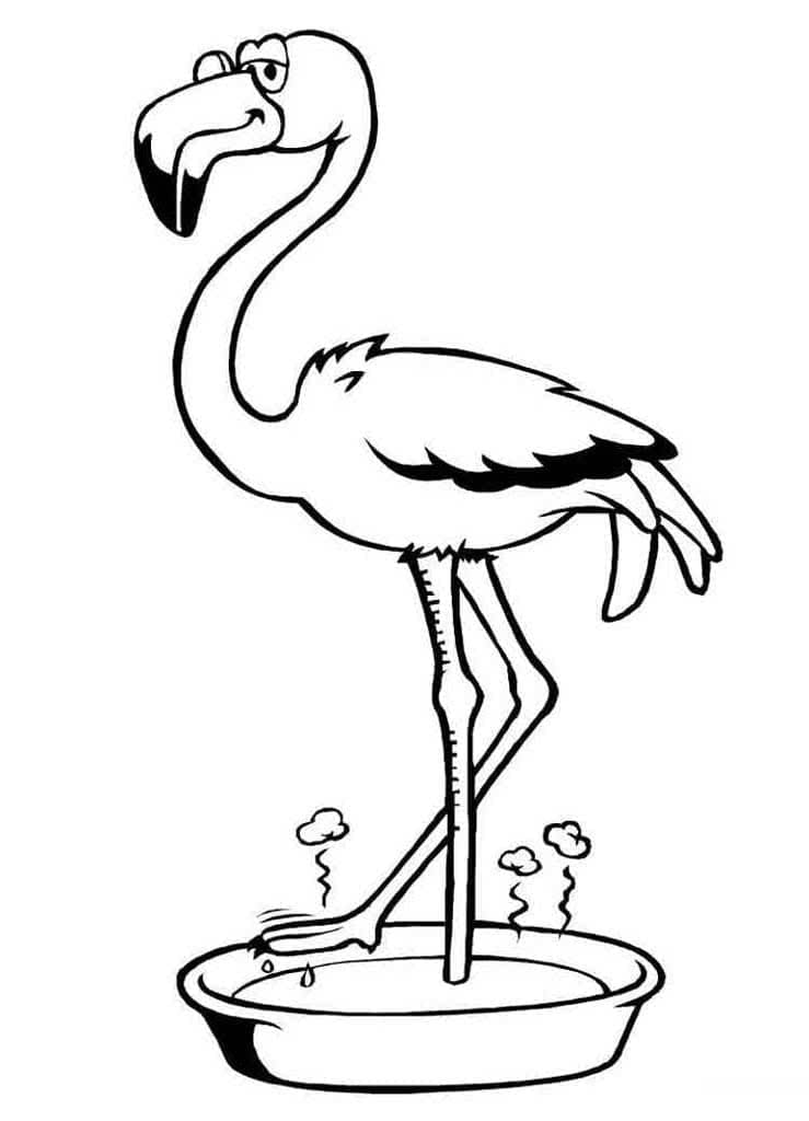 Dessin à colorier Flamant Rose #198753 issu de la collection Animaux, prêt à imprimer