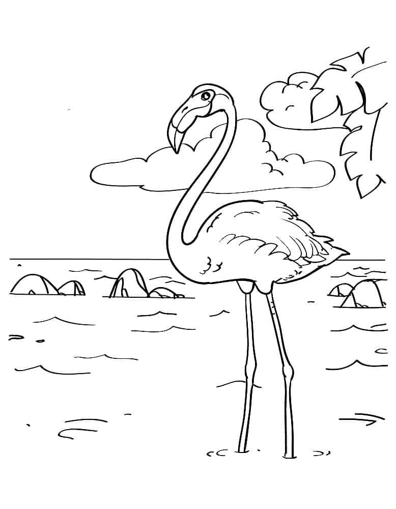 Coloriage gratuit Flamant Rose #198782 de la collection Animaux à imprimer