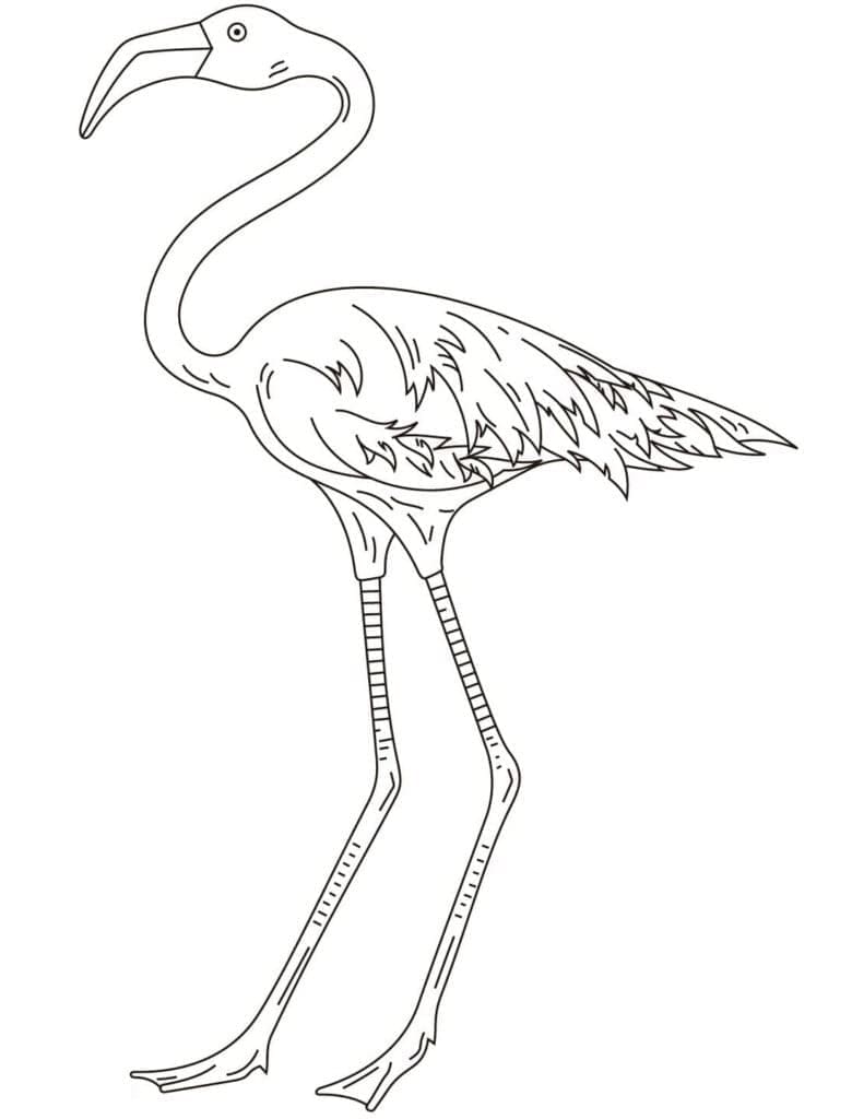 Coloriage gratuit Flamant Rose #198784 de la collection Animaux à imprimer