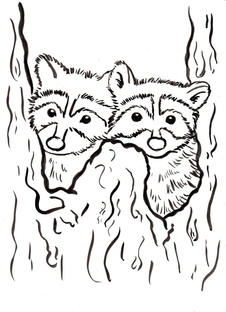 Coloriage gratuit Forêt Animaux #192065 de la collection Animaux à imprimer