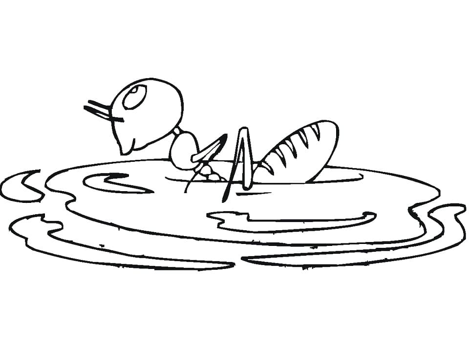 Coloriage Fourmi #196486 à imprimer gratuitement, extrait de la collection Animaux