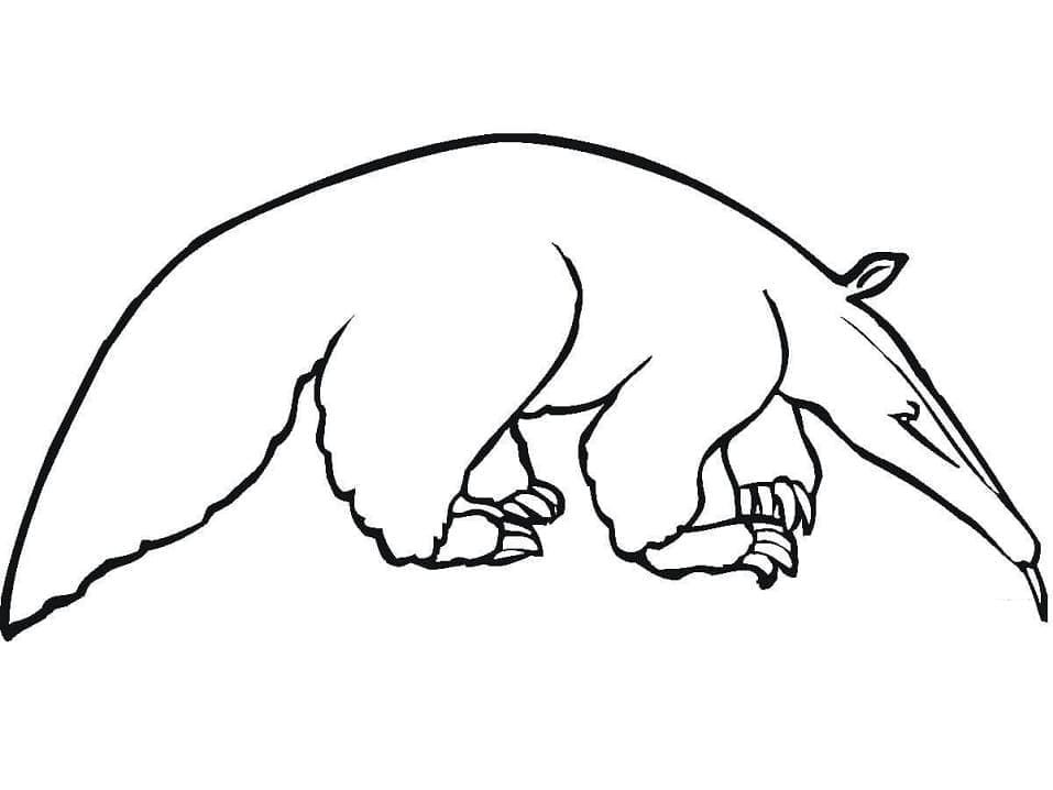 Coloriage gratuit Fourmilier #219646 de la collection Animaux à imprimer