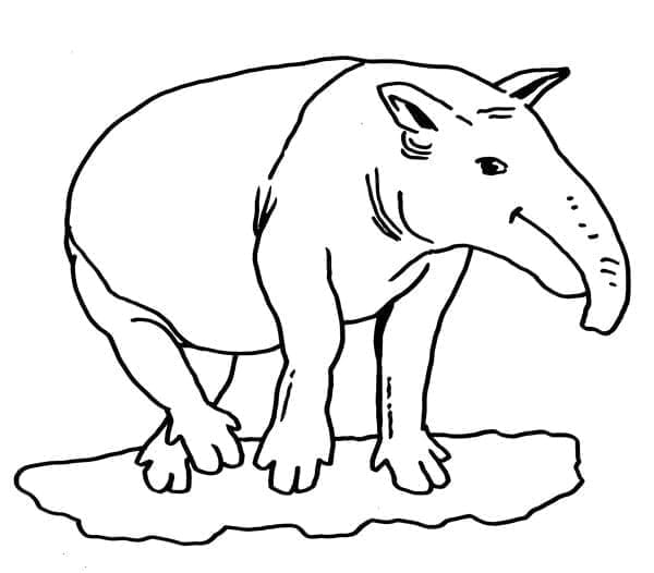 Coloriage gratuit Fourmilier #219647 de la collection Animaux à imprimer
