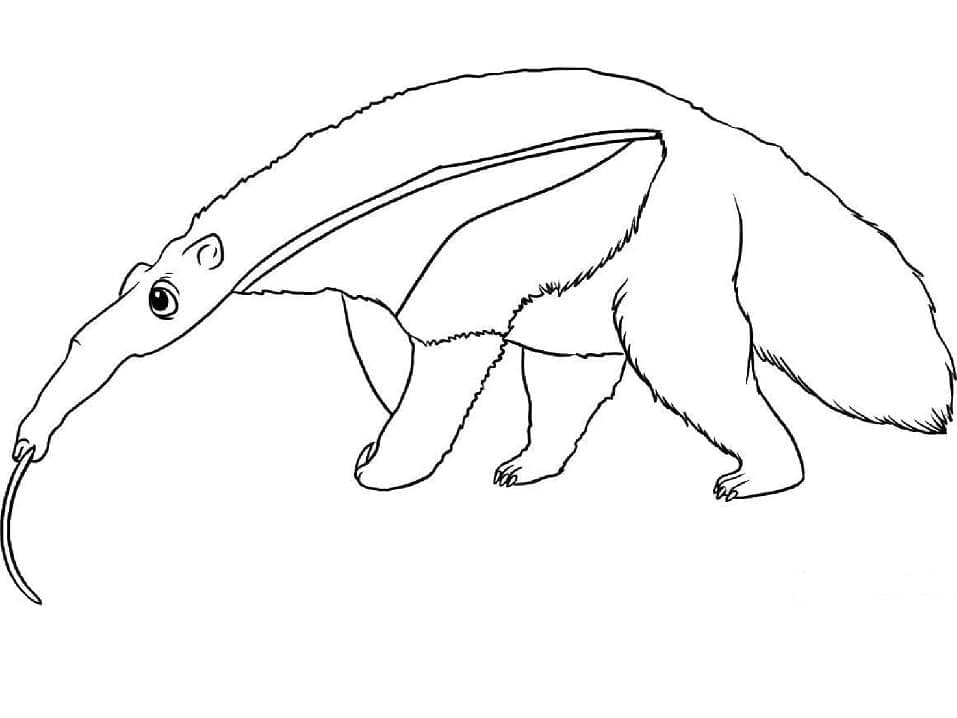 Coloriage gratuit Fourmilier #219663 de la collection Animaux à imprimer