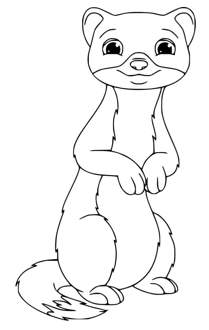 Dessin à colorier: Furet (Animaux) #205383 - Coloriages à Imprimer Gratuits