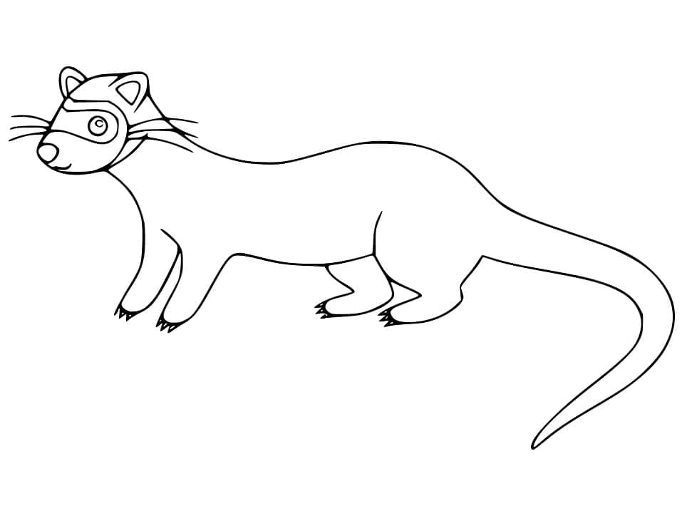 Dessin à colorier: Furet (Animaux) #205385 - Coloriages à Imprimer Gratuits
