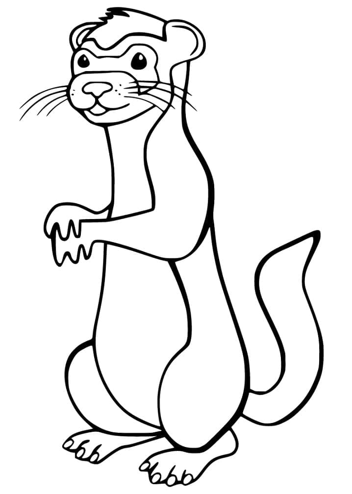 Dessin à colorier: Furet (Animaux) #205390 - Coloriages à Imprimer Gratuits