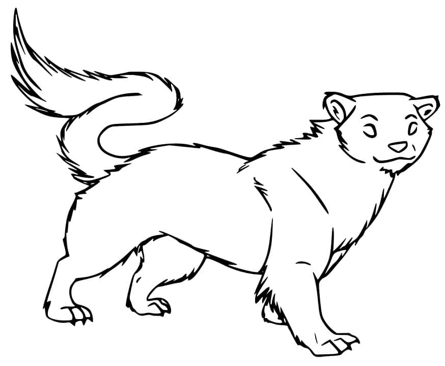 Dessin à colorier: Furet (Animaux) #205392 - Coloriages à Imprimer Gratuits