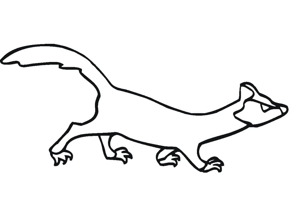 Dessin à colorier: Furet (Animaux) #205394 - Coloriages à Imprimer Gratuits