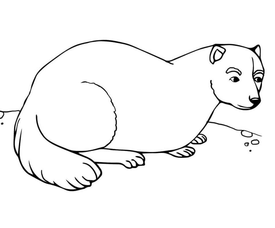 Dessin à colorier: Furet (Animaux) #205395 - Coloriages à Imprimer Gratuits