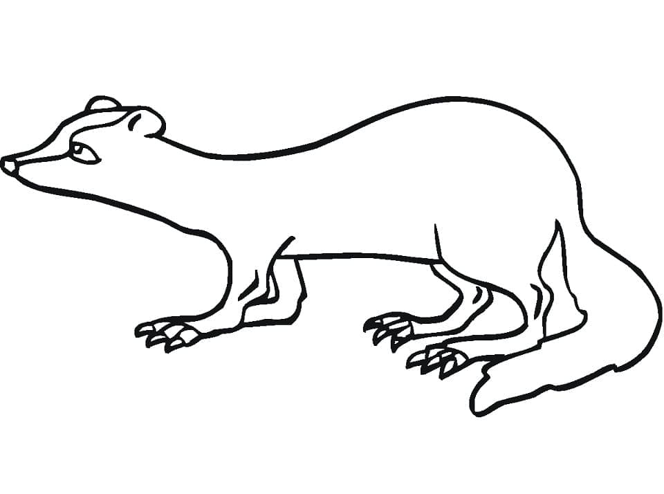 Dessin à colorier: Furet (Animaux) #205398 - Coloriages à Imprimer Gratuits