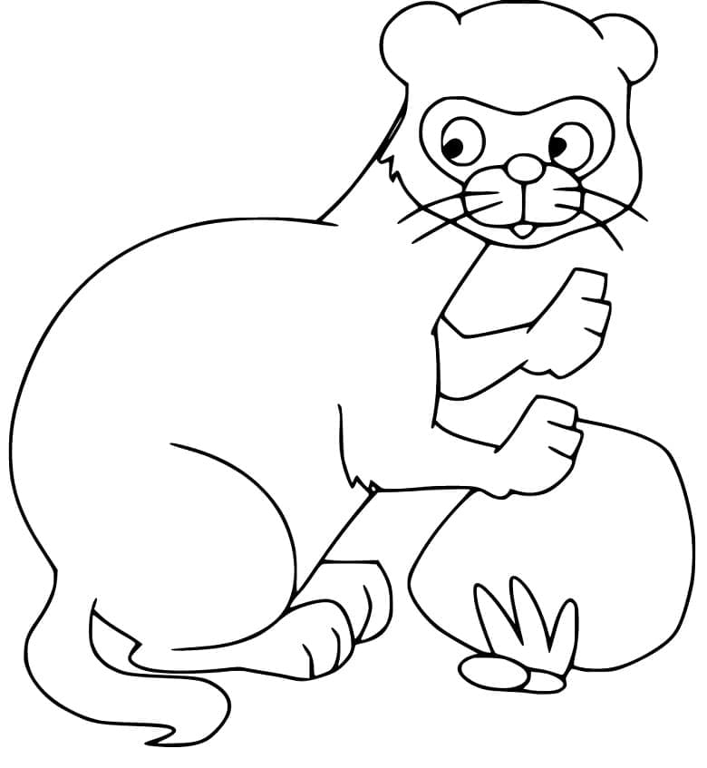 Dessin à colorier: Furet (Animaux) #205401 - Coloriages à Imprimer Gratuits