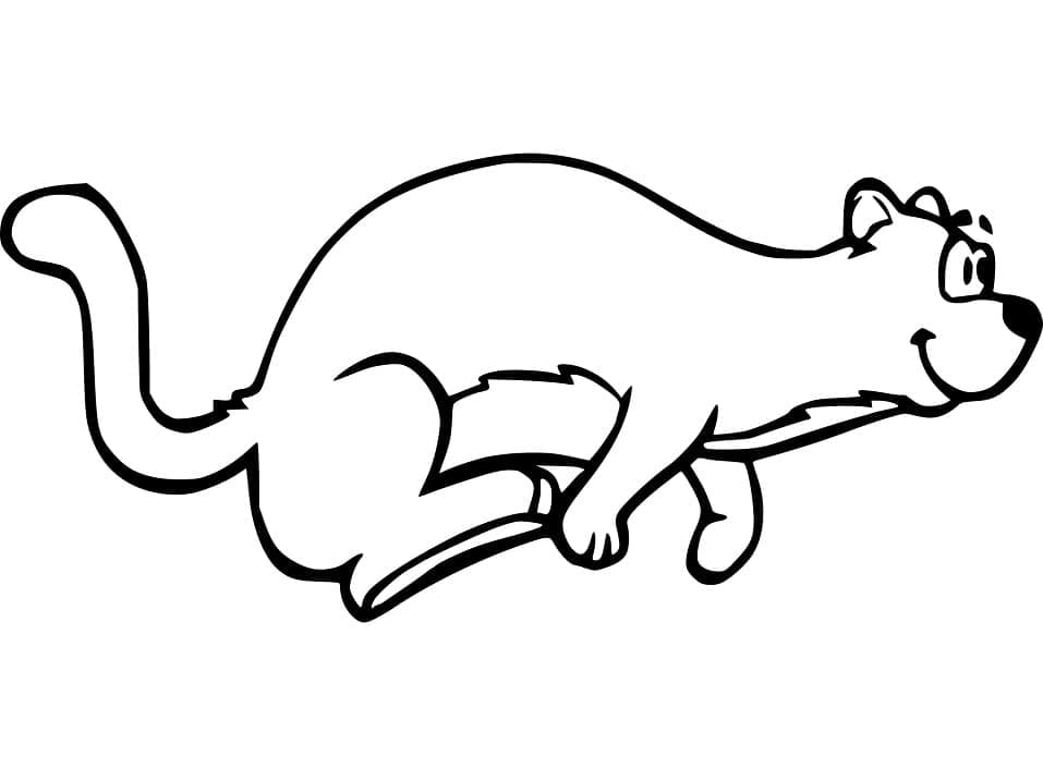 Dessin à colorier: Furet (Animaux) #205402 - Coloriages à Imprimer Gratuits
