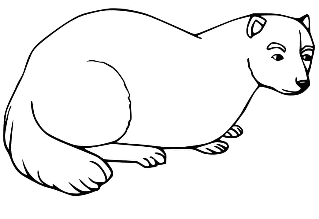 Dessin à colorier: Furet (Animaux) #205407 - Coloriages à Imprimer Gratuits