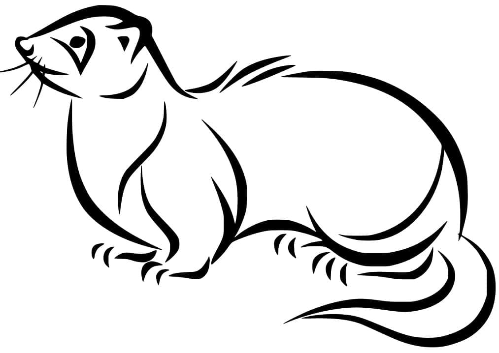 Dessin à colorier: Furet (Animaux) #205410 - Coloriages à Imprimer Gratuits