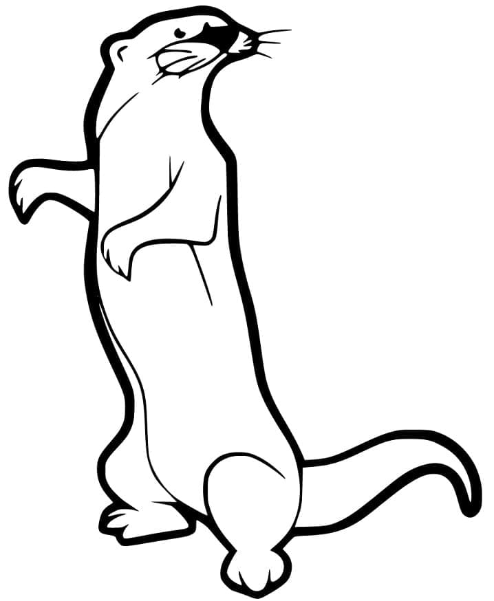 Dessin à colorier: Furet (Animaux) #205411 - Coloriages à Imprimer Gratuits