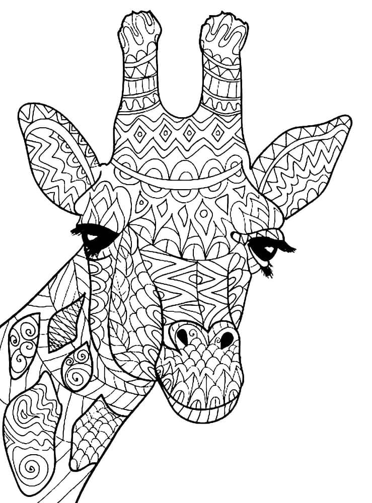 Illustration au trait Girafe #177604 de la collection Animaux à colorier gratuitement