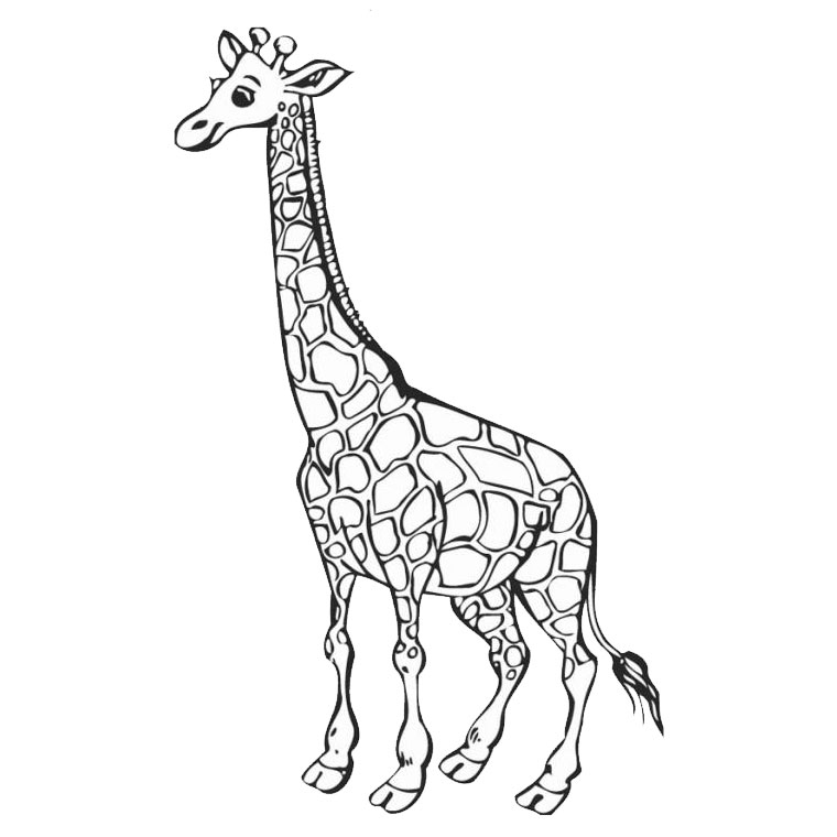 Dessin à colorier: Girafe (Animaux) #7226 - Coloriages à Imprimer Gratuits