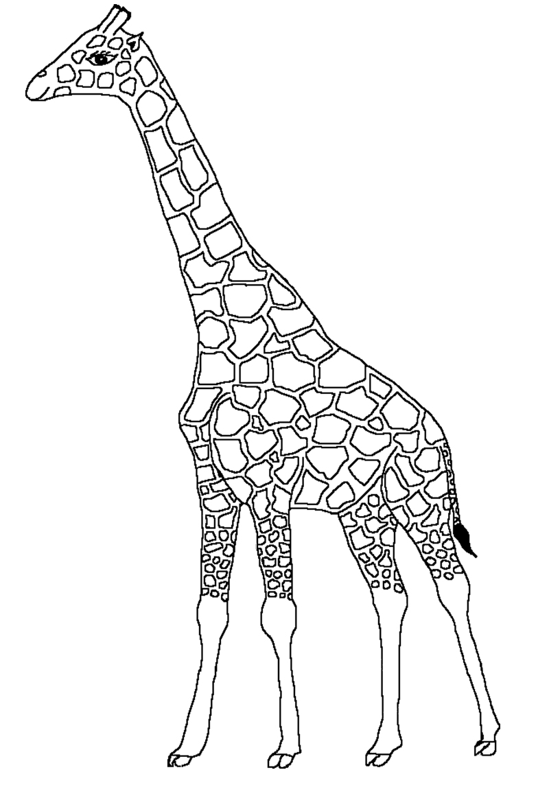 Dessin Girafe #7275 (Animaux) à colorier – Coloriages à imprimer