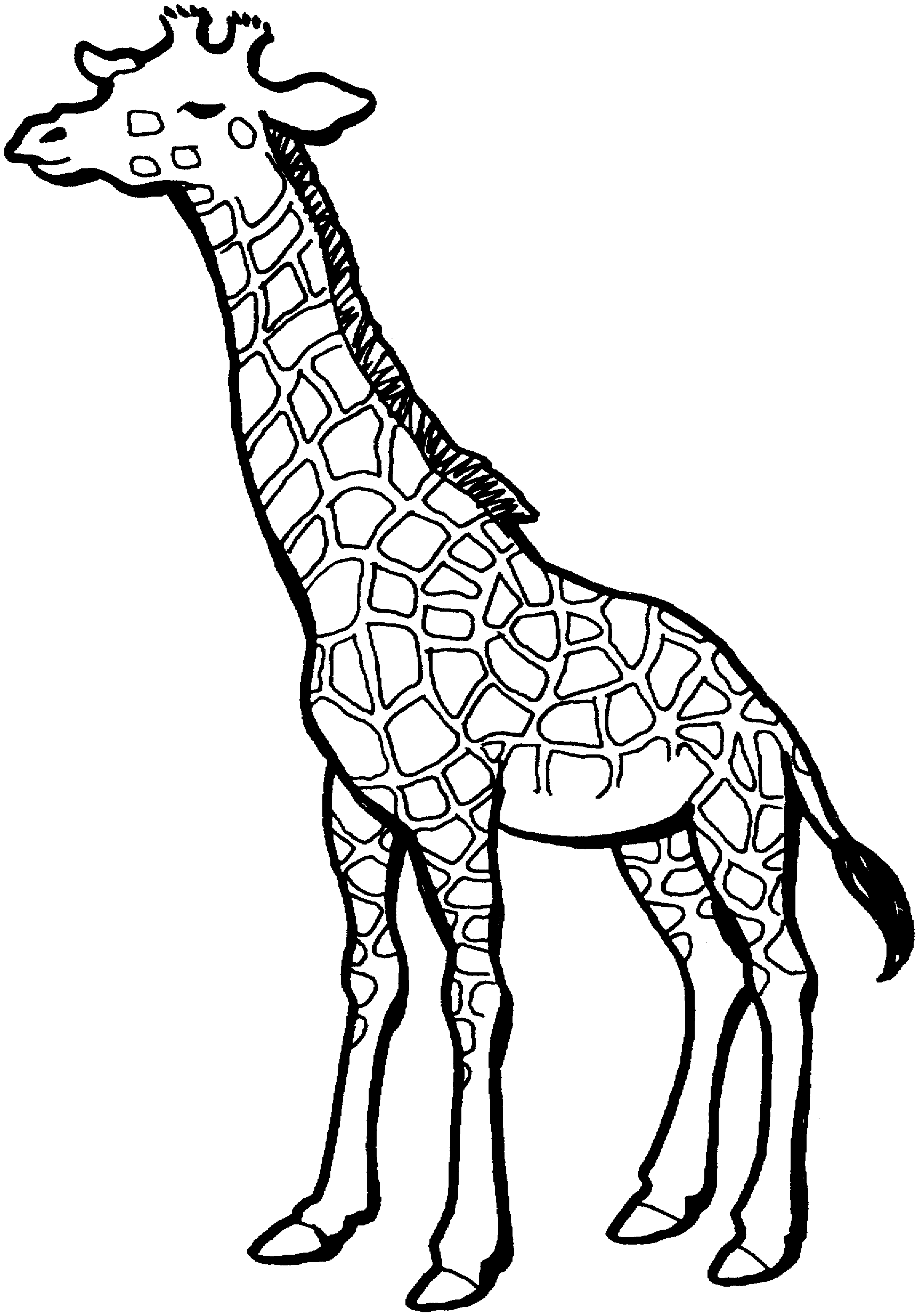 Coloriages Girafe Animaux Dessins à Colorier Coloriages à