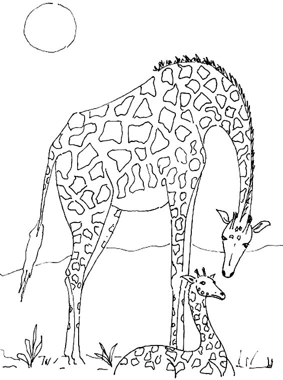 Dessin à colorier: Girafe (Animaux) #7302 - Coloriages à Imprimer Gratuits