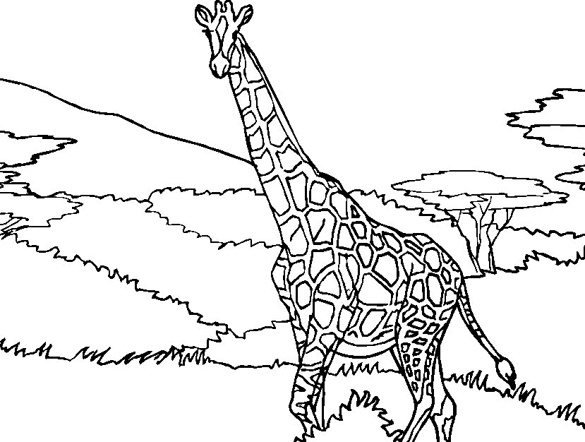 Dessin à colorier: Girafe (Animaux) #7305 - Coloriages à Imprimer Gratuits