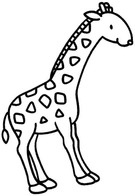 Dessin à colorier: Girafe (Animaux) #7367 - Coloriages à Imprimer Gratuits