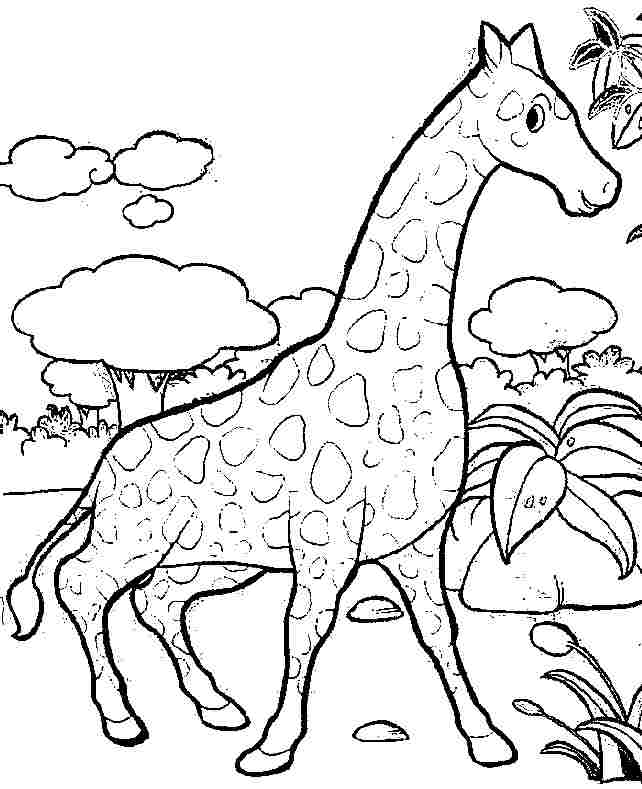 Dessin à colorier: Girafe (Animaux) #7380 - Coloriages à Imprimer Gratuits