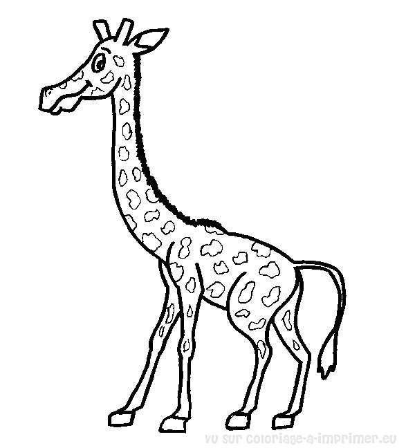 Dessin à colorier: Girafe (Animaux) #7386 - Coloriages à Imprimer Gratuits