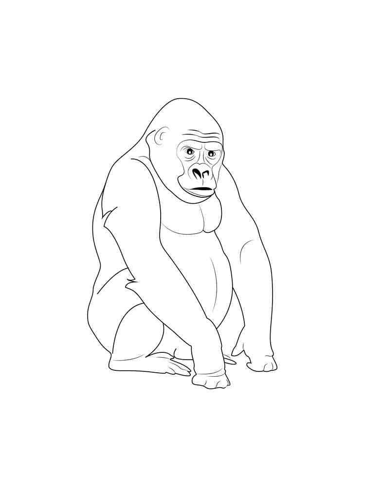 Dessin Gorille #188951 à colorier de la série Animaux, gratuit à télécharger et imprimer Dessin Gorille #188951 à colorier de la série Animaux, gratuit à télécharger et imprimer